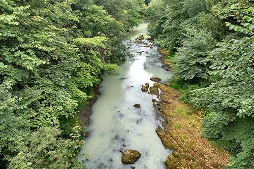 River Esk Pollution