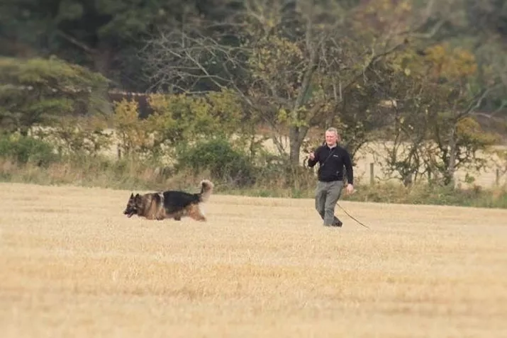 Dog-Trainer-Esk-valley-Dog-Trainer