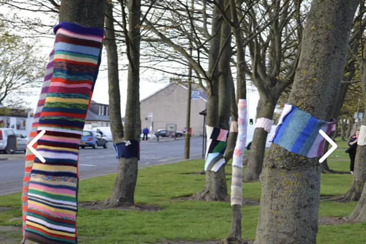 Musselburgh Tree Ribbons